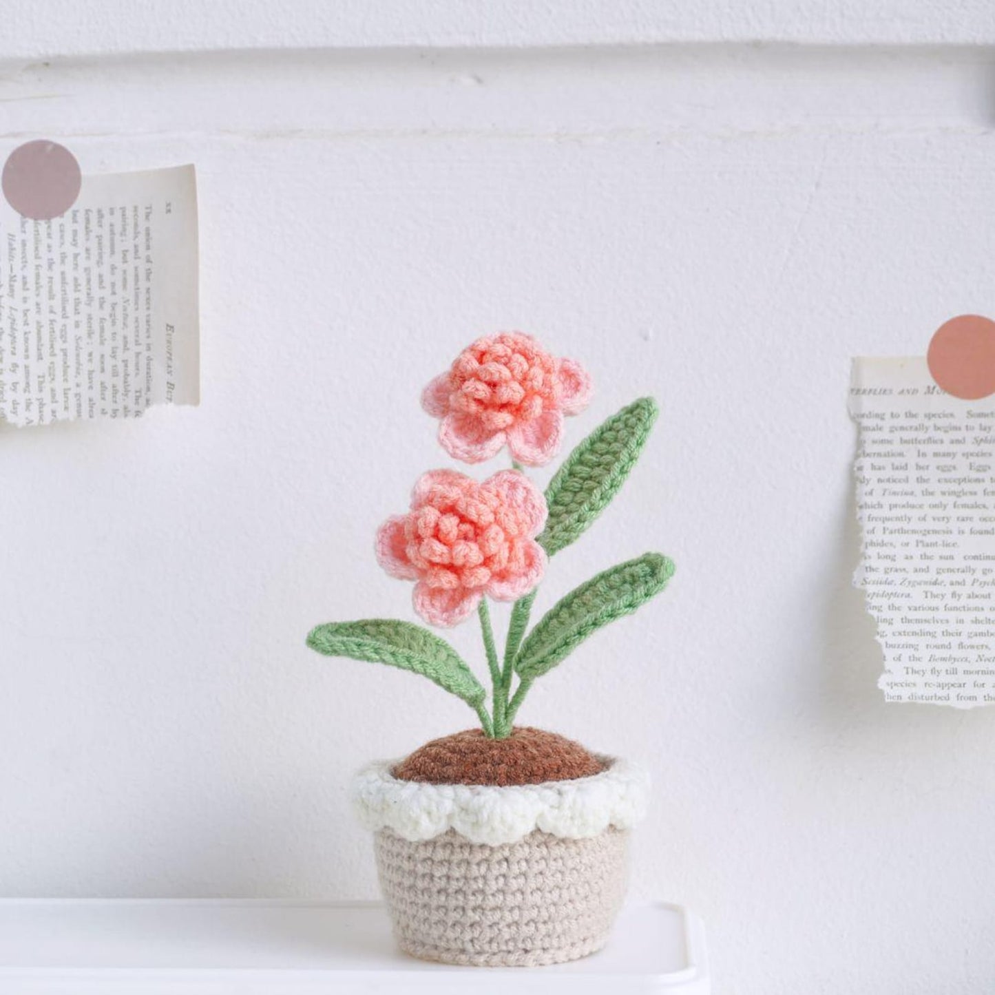 Potted Flower and Plants Collection Crochet Pattern