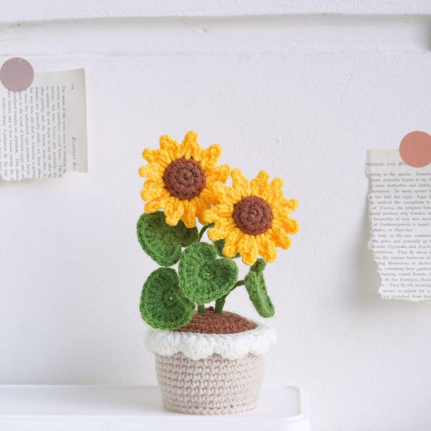 Potted Flower and Plants Collection Crochet Pattern