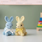 Charming Garden Buddy Amigurumi Crochet Pattern