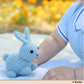 Charming Garden Buddy Amigurumi Crochet Pattern