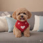 Pet Apparel Seasonal Wear Easy Crochet Pattern